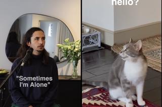 Lonely Cat