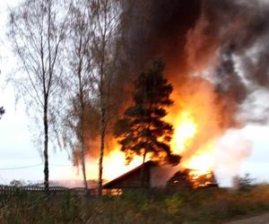 Pożar stajni w Częstochowie. Spłonęła całkowicie