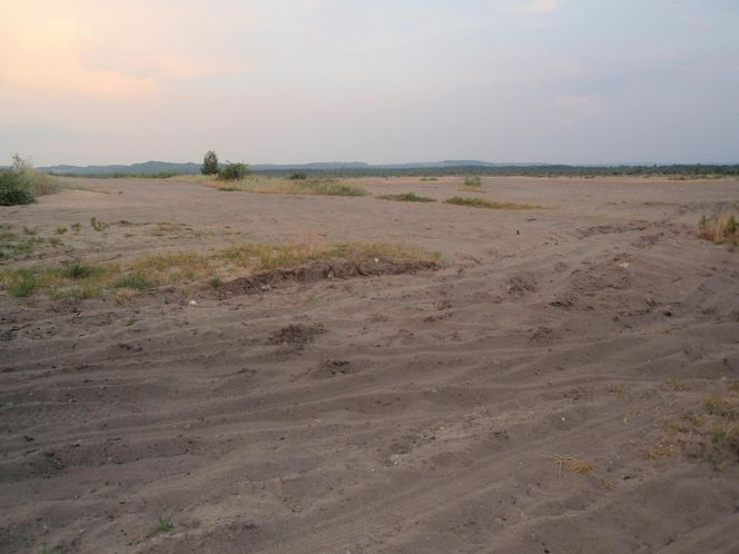 To najdziwniejsze miejsce w województwie śląskim. "Anomalia geograficzna"
