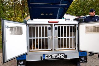 Gorzów: Nowy radiowóz także dla policyjnych psów [ZDJĘCIA]