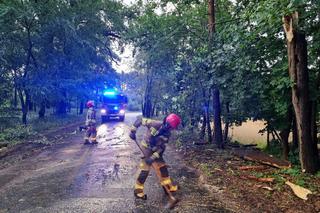 Tragiczne skutki nawałnicy na Kujawach i Pomorzu! Jednej osoba wciąż nie odnaleziono