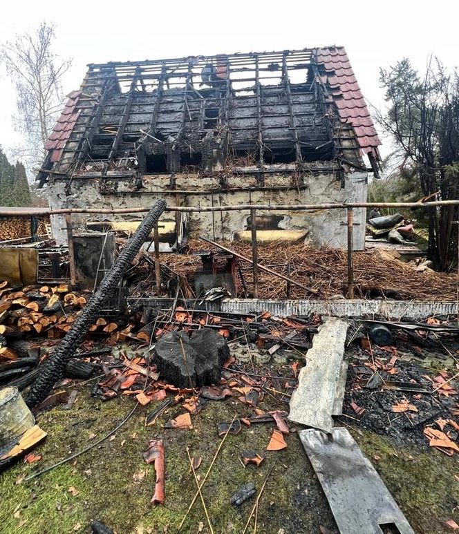 W jednej chwili stracił dorobek całego życia! Z płomieni uratował tylko psa