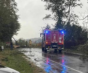 Trąba powietrzna w Łódzkiem. Zniszczenia w gminie Poświętne