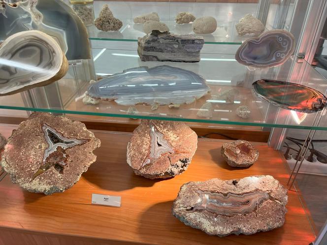 Barwna ekspozycja w Muzeum Geologicznym US