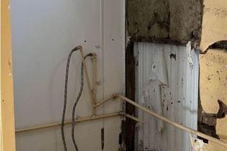 Szczeniakarnia wymaga remontu