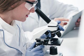 Dwugłowe robaki w laboratorium. Naukowcy dokonali niezwykłego odkrycia