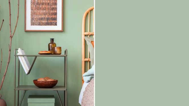 Kolekcja Designer Colour: Sage