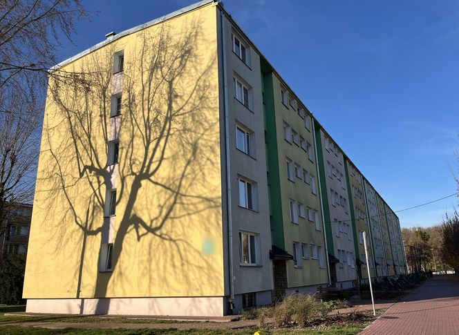 Brutalna zbrodnia w Puławach. 49-latek skatowany na śmierć kijem od mopa