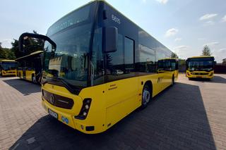 Nowe klimatyzowane autobusy na trasach metropolii