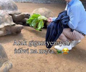 Maciej Orłoś, Paulina Orłoś