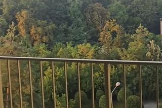 Wersow pochwaliła się remontem. Chodzi o jej nową nieruchomość!