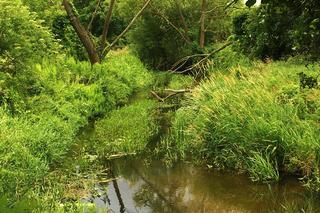 Tążyna - dawniej graniczna rzeka w powiecie aleksandrowskim