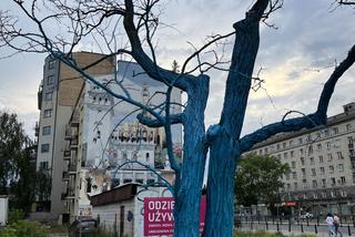 Artysta otrzymał zgodę od miasta na pomalowanie drzewa