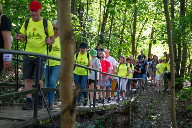 Gmina Miedziana Góra i okolice