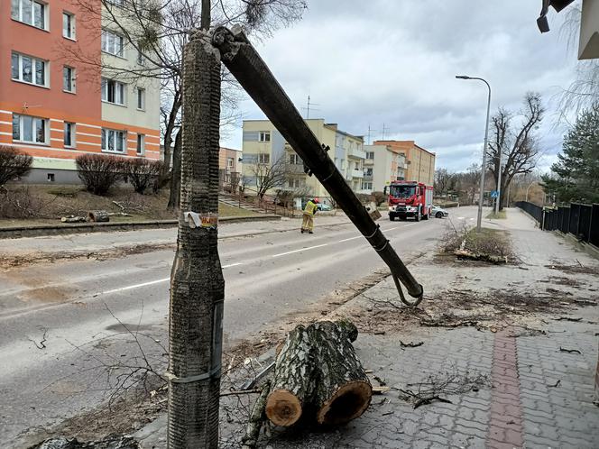 Szkody po Orkanie Eunice. Zrywało dachy, wyrywało grube drzewa, brakowało prądu