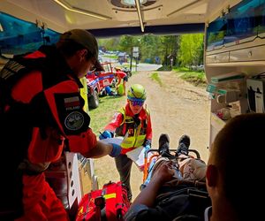 Turysta ukąszony przez żmiję.