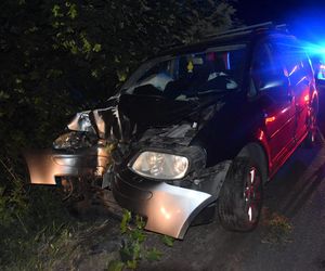Pijany kierowca rozbił auto pod Gryżyną. Miał prawie 3 promile alkoholu