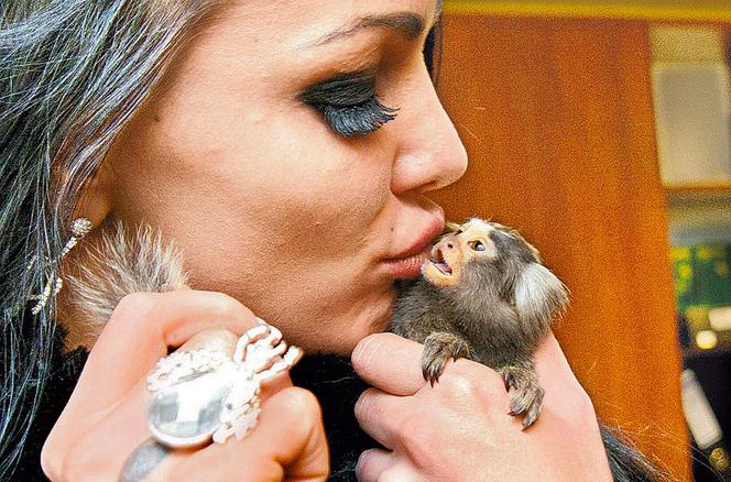 Agnieszka Orzechowska odzyskała ukochaną małpkę