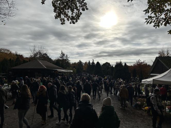 Wszystkich Świętych 2023 Cmentarz Centralny Szczecin 