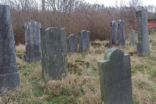 Tak wygląda zapomniany żydowski cmentarz w Koronowie. Przejechałem rowerem 30 km, by tu dotrzeć. Jest klimat!