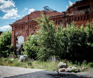 Małe miasteczko z wielkim potencjałem. Odkryj największe atrakcje Żyrardowa 