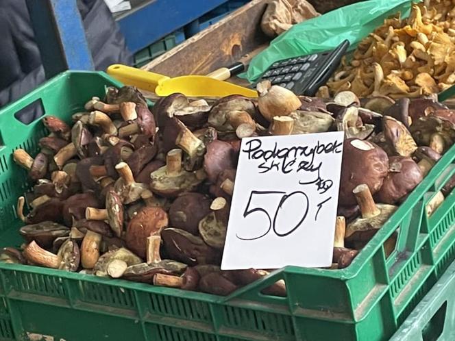 Ceny grzybów w Krakowie. Świeże podgrzybki na Starym Kleparzu