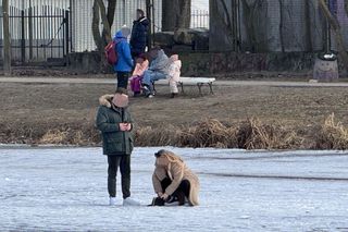 Skrajna nieodpowiedzialność. Spacerują po płytkim lodzie z dziećmi i psami. Dramat na Pradze-Południe w Warszawie
