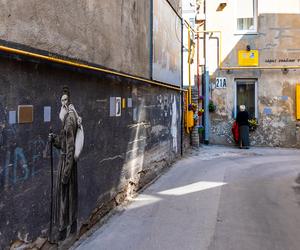 Litewski artysta zmienił swoje podwórko w galerię street artu. Zobacz zdjęcia!