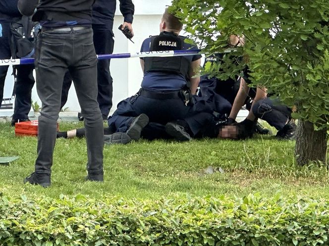 Masakra siekiera na Uniwersytecie Warszawskim. Kobieta z podciętą głową