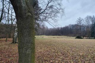 Festiwal Audioriver 2024. Co sądzą o nim łodzianie? Sprawdź, gdzie staną sceny [GALERIA]