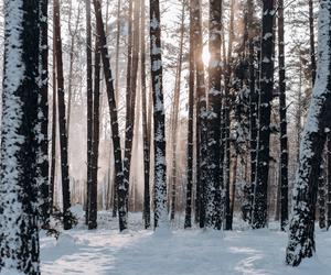 Śnieg w lipcu?! Paskudna pogoda zniszczy plany urlopowiczów!