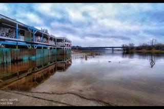 Poznań: wysoki poziom wody w Warcie