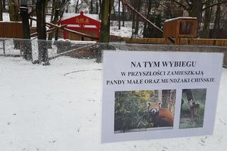 ZOO Toruń zaprasza!