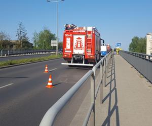 Domino na wiadukcie Grota-Roweckiego w Lesznie