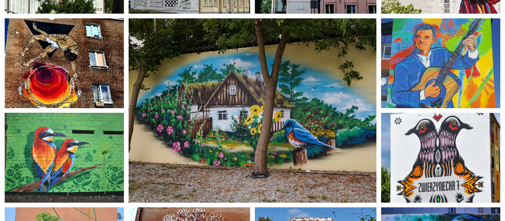 Białostockie murale. Te prace są niesamowite!