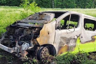 Niebezpieczne zdarzenie pod Olsztynem. 42-latek próbował ominąć zwierzę [ZDJĘCIA]