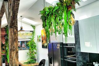 Dom w stylu biophilic – kwietnik kuchenny