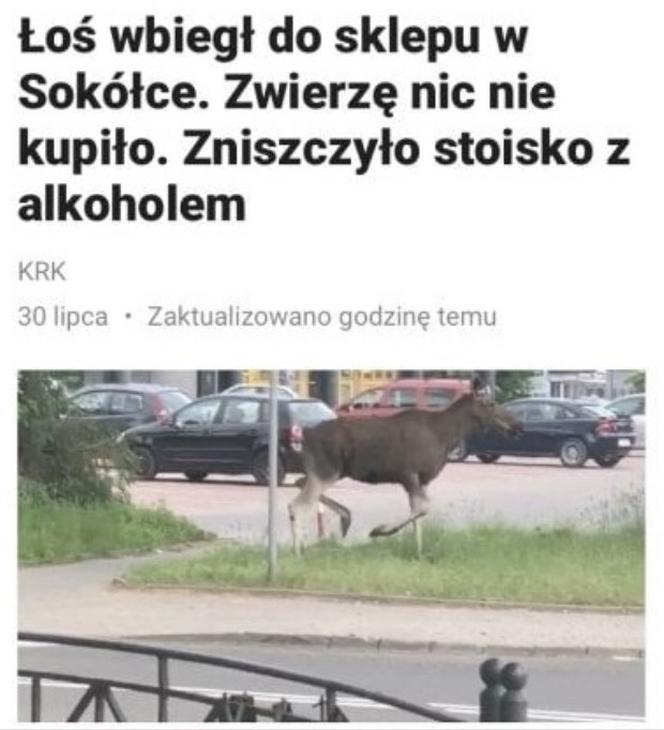 Najlepsze memy o Podlasiu. Zobacz najciekawsze memy o województwie podlaskim. Ubaw do łez!