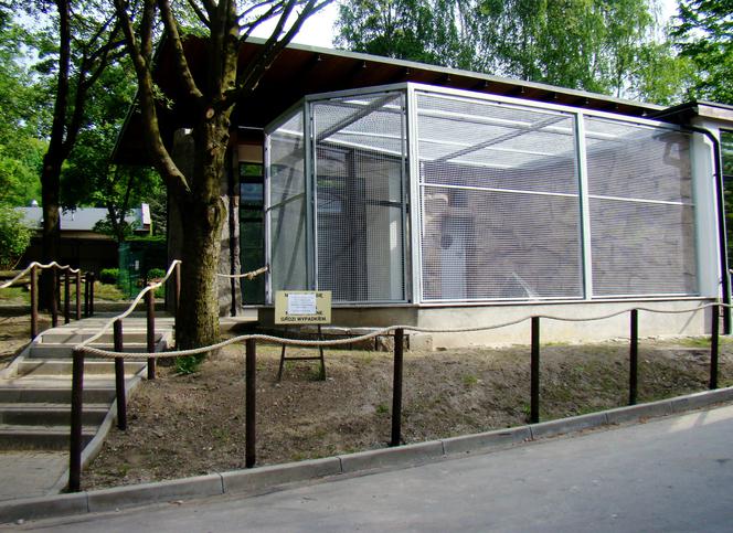 Zoo w Chorzowie