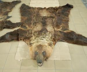 Funkcjonariusze lubelskiej KAS udareminili przemyt na wschodniej granicy 