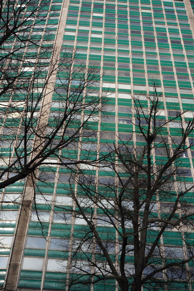 Zieleniak w Gdańsku