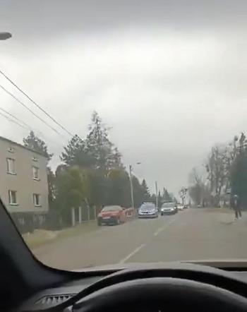 Wiózł cinquecento wielkie kawały drzewa. Auto ledwo jechało. W końcu zatrzymała go policja