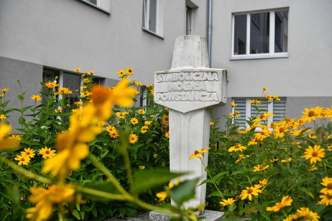 Grób nieznanego powstańca na ulicy Cieszkowskiego 