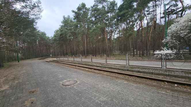 Tak po modernizacji będzie wyglądała pętla tramwajowa w Lesie Gdańskim! 
