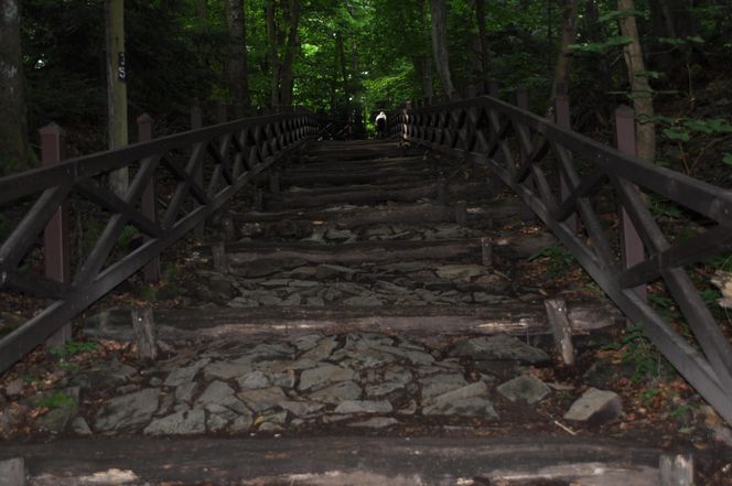 Świętokrzyski Park Narodowy