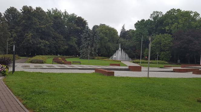 Rzeszów walczy ze szczurami w parku