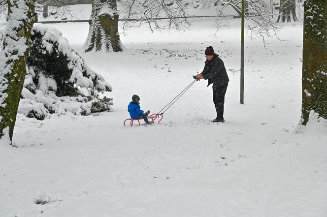 Śnieżny Szczecin 