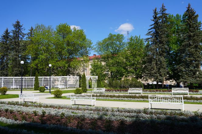 Różanka w Parku Planty po remoncie