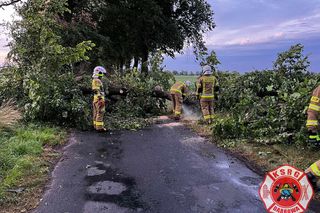 Potężna burza przeszła przez Bydgoszcz i region. Ponad 400 interwencji strażaków!