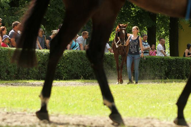 Ladies Day i Crystal Cup na Partynicach